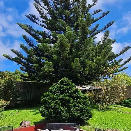 Bed and breakfast Casa Carmen Cabouco